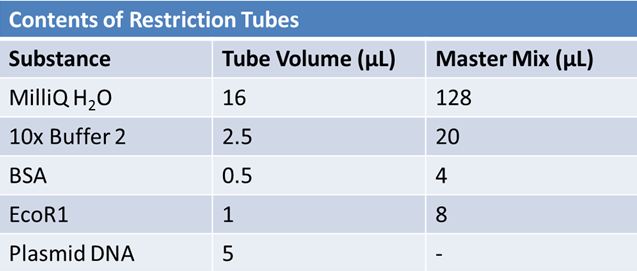 May 10th restriction tubes.JPG