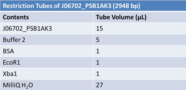 June 10th restriction tubes J06702 PSB1AK3(1).JPG