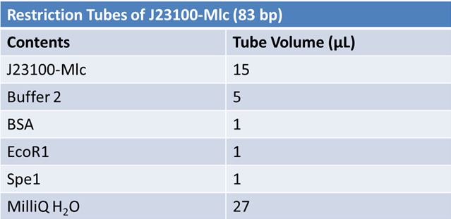 June 10th restriction tubes J23100-Mlc.JPG