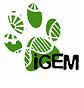 Small-igem-paw.png