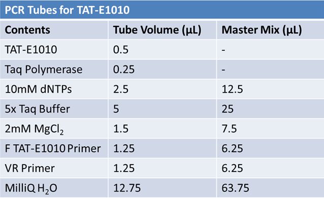 June 6th PCR tubes TAT-E1010.JPG