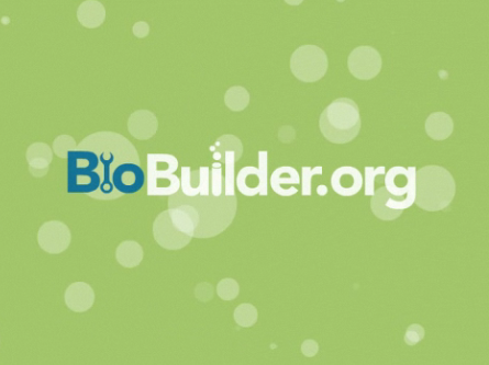 BioBuilder preview.png