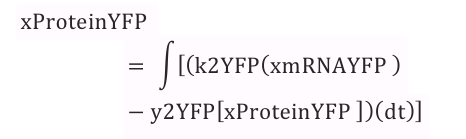 Equation4.png