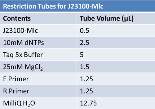 May 22nd restriction tubes.JPG