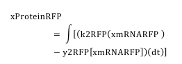 Equation8.png