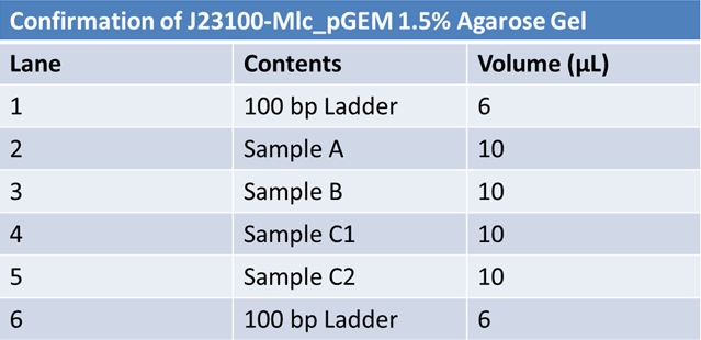 June 6th PCR Gel lanes J23100-Mlc.JPG
