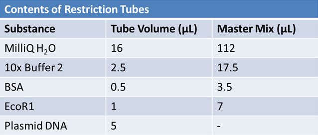 May 9th restriction tubes.JPG