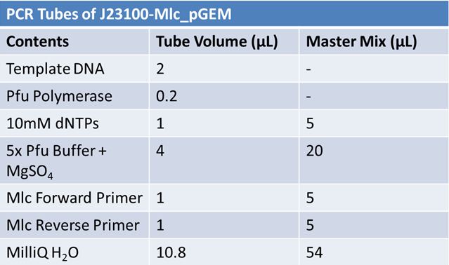 June 4th PCR J23100-Mlc pGEM.JPG